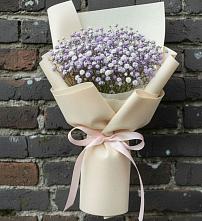 Букет цветов из:  Гипсофила #REPLACE_PRED# ЗАТО Солнечном
