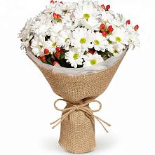 Букет цветов из:  Хризантемы #REPLACE_PRED# ЗАТО Солнечном
