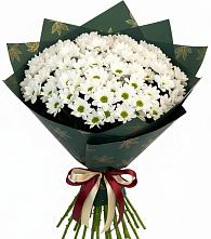 Букет цветов из:  Хризантемы #REPLACE_PRED# ЗАТО Солнечном